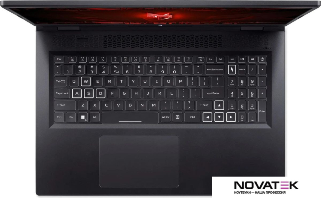 Игровой ноутбук Acer Nitro 17 AN17-51-716G NH.QK5CD.001