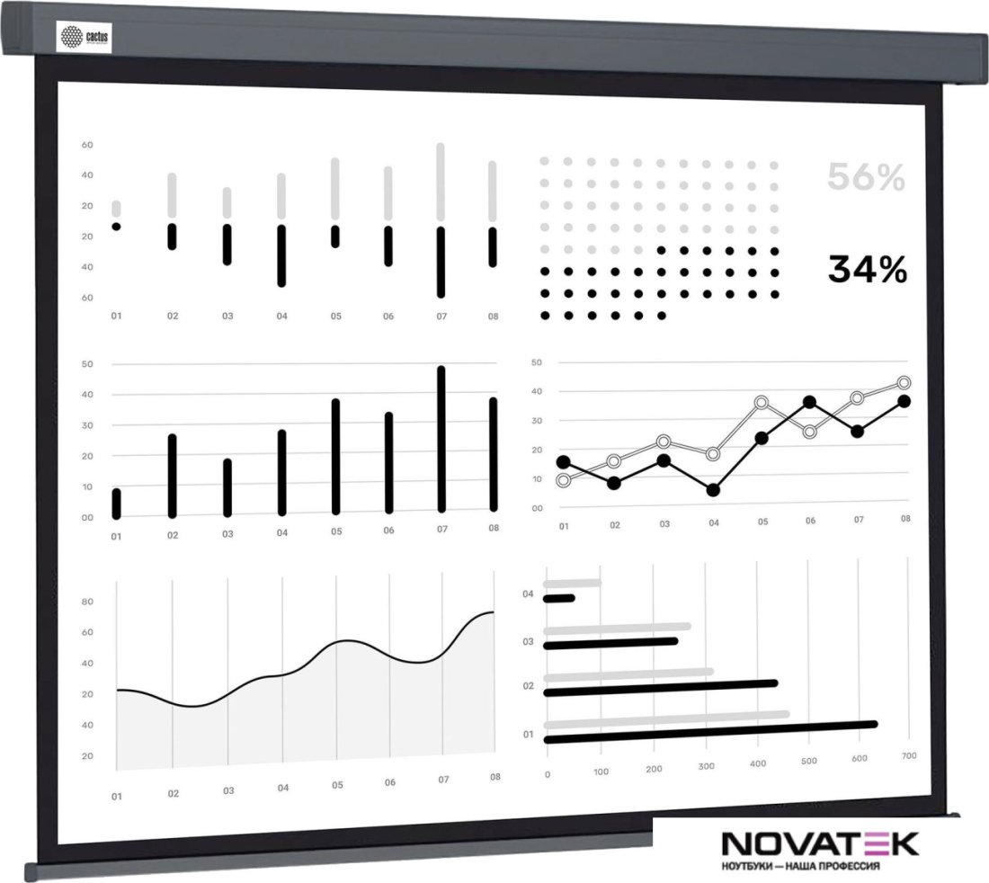 Проекционный экран CACTUS Wallscreen 180x180 CS-PSW-180X180-SG