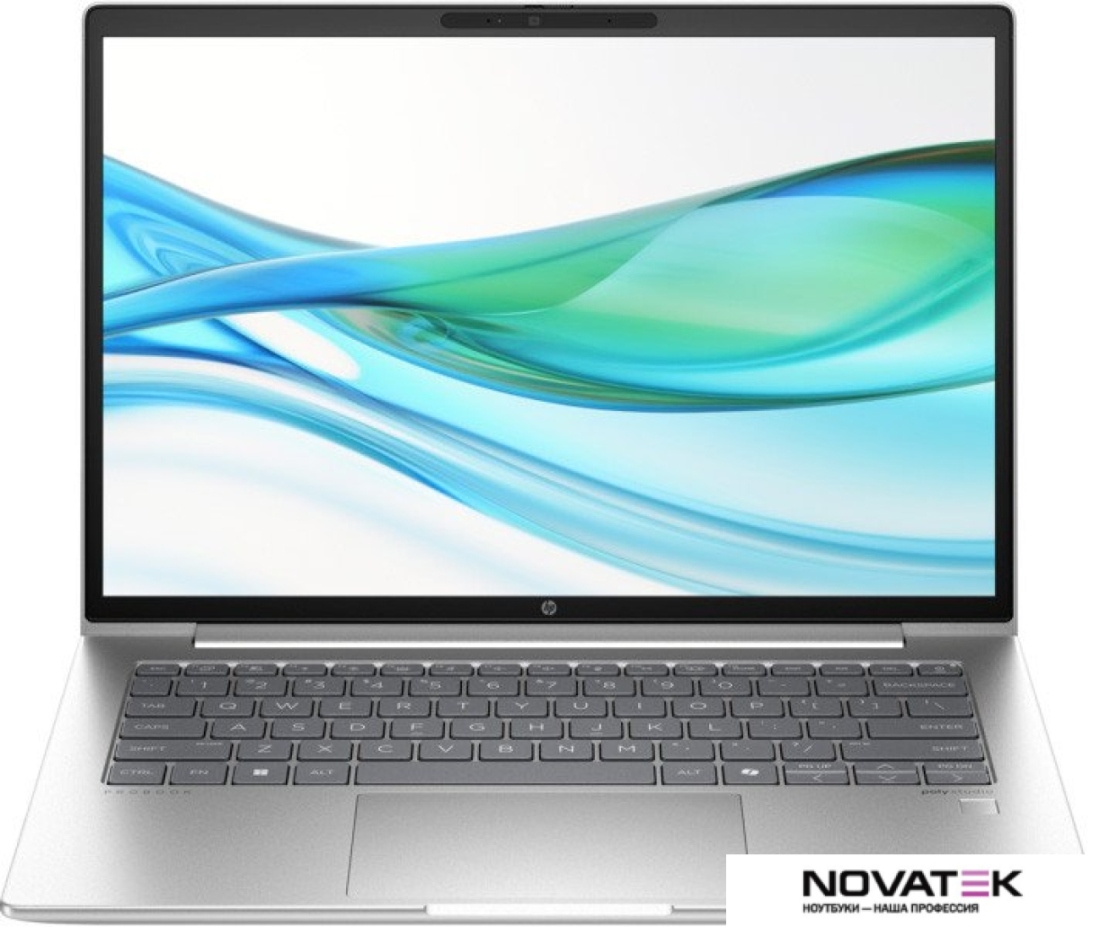 Ноутбук HP ProBook 440 G11 A45RMPT