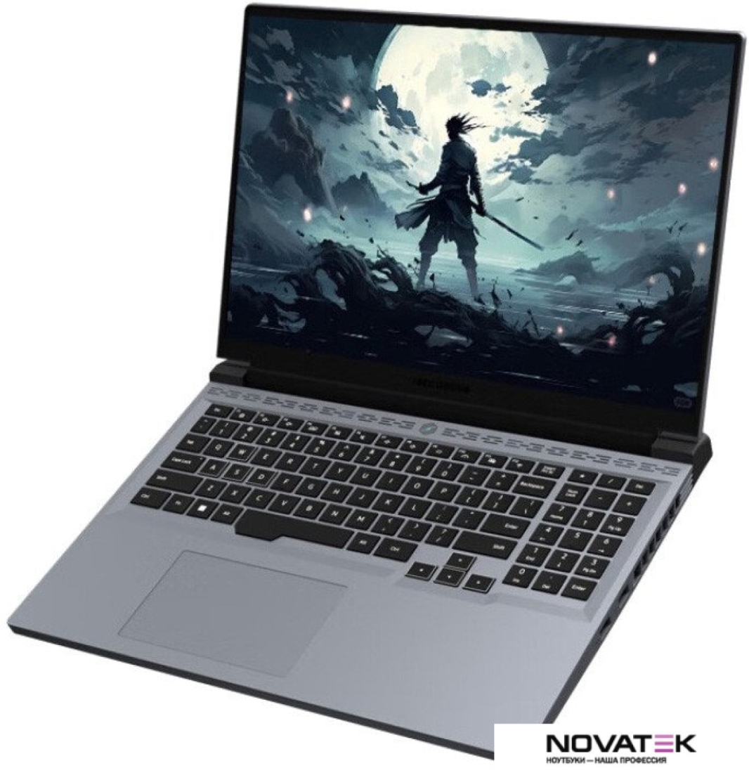 Игровой ноутбук Mechrevo Revolution Jiaolong 16 Pro 747Q0