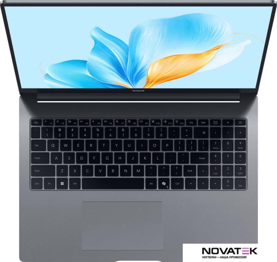 Ноутбук HONOR MagicBook X16 2025 BRG-585 5301ALWQ