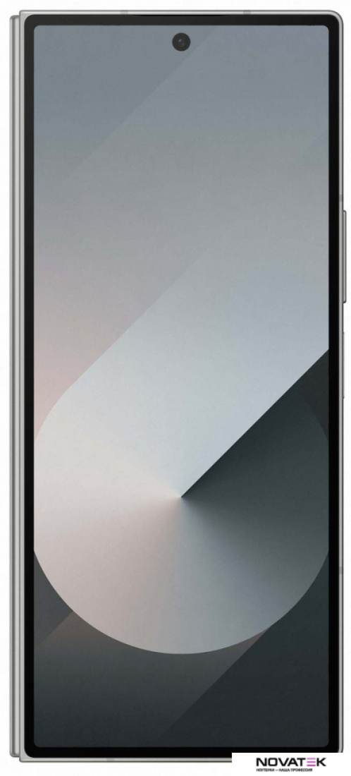 Смартфон Samsung Galaxy Z Fold6 SM-F956B/DS 12GB/512GB (серый)