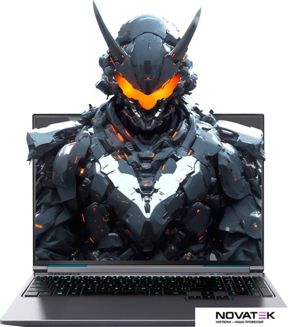 Игровой ноутбук Mechrevo Aurora X FGM-X6PR556W0014201
