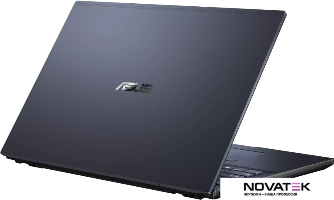 Ноутбук ASUS ExpertBook L2 L2502CYA-BQ0124