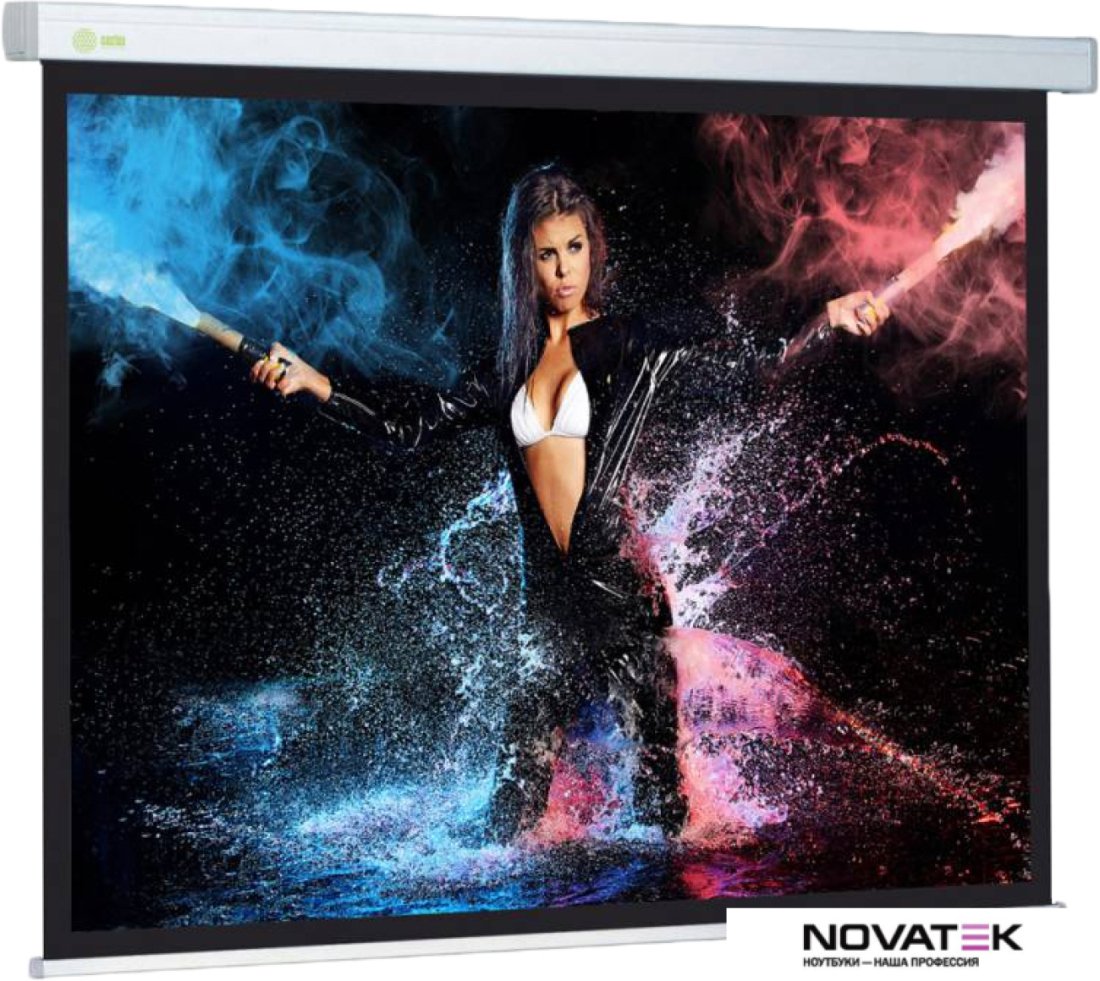 Проекционный экран CACTUS Wallscreen CS-PSW-168x299