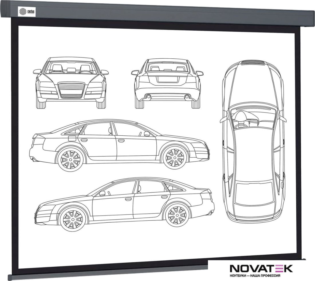 Проекционный экран CACTUS Wallscreen 168x299 CS-PSW-168X299-SG