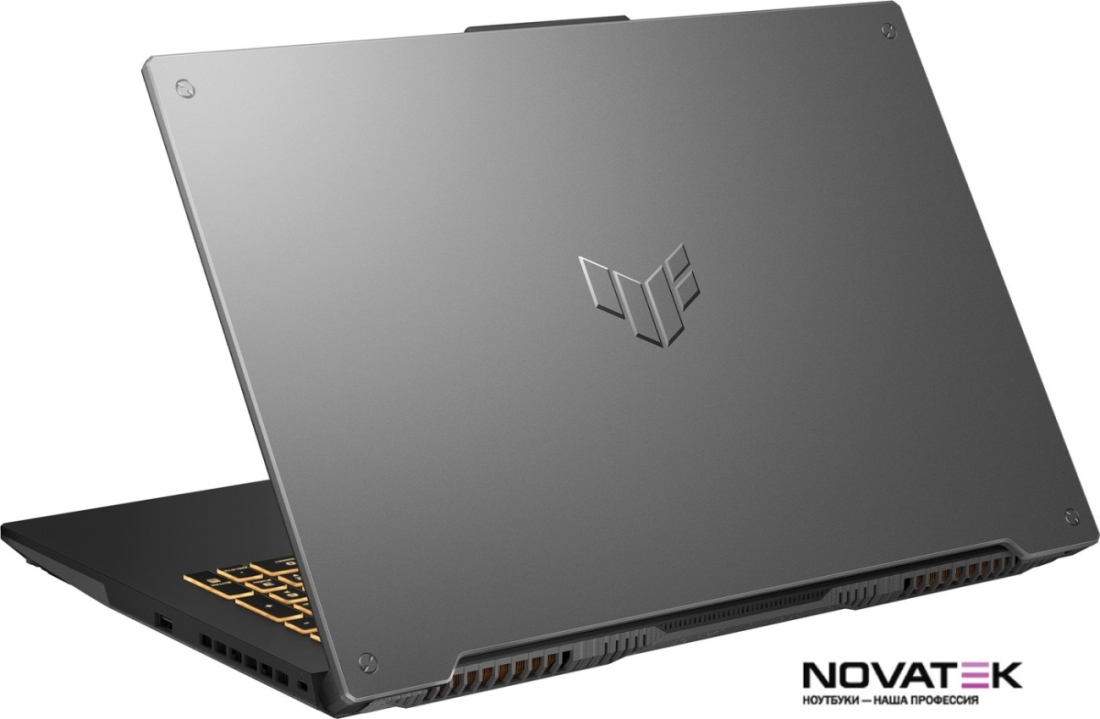 Игровой ноутбук ASUS TUF Gaming F17 FX707VU-HX175