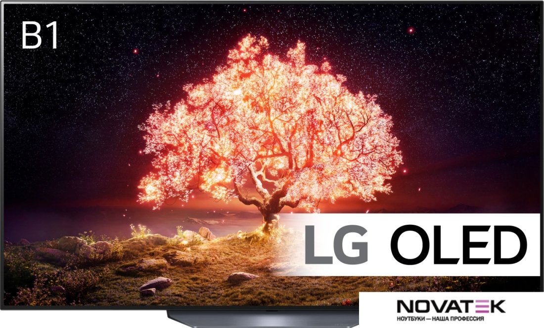 Телевизор LG OLED65B1RLA