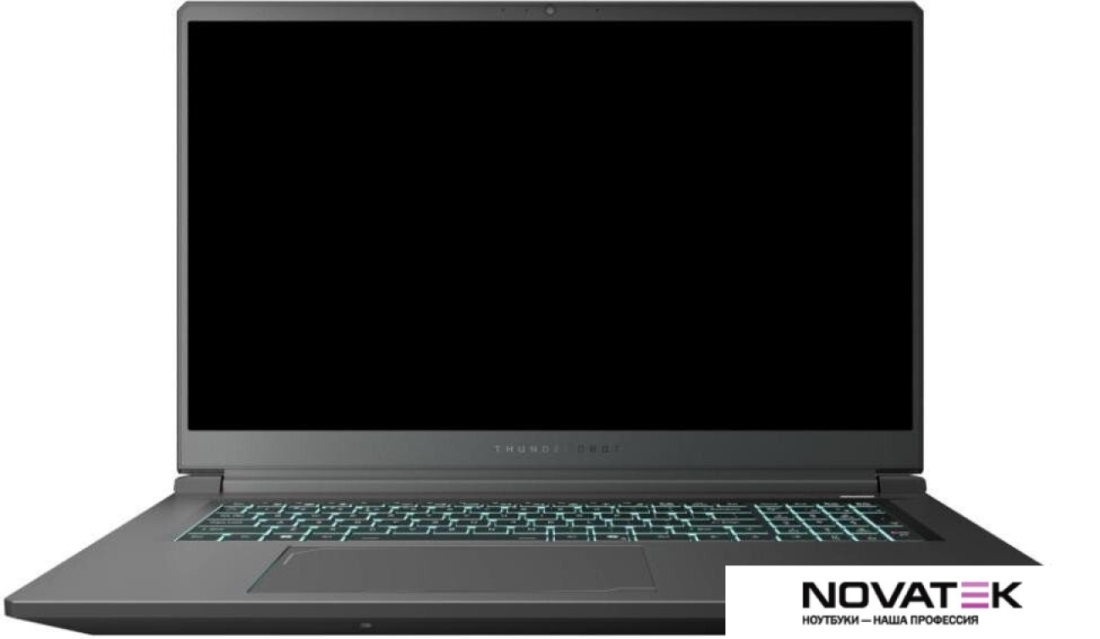 Игровой ноутбук Thunderobot 911 X17 i7136H56C1Q165MBD