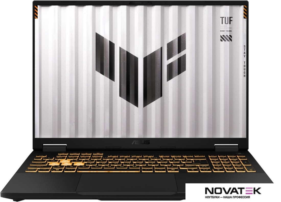 Игровой ноутбук ASUS TUF Gaming F16 FX608JMR-RV130 Win 11 Pro
