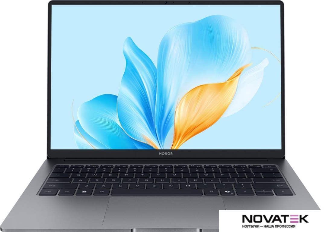 Ноутбук HONOR MagicBook X14 Plus 2025 FRB-X 5301ALWC