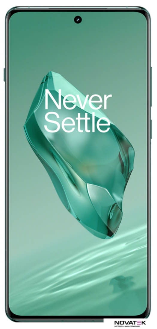 Смартфон OnePlus 12 12GB/256GB европейская версия (зеленый)