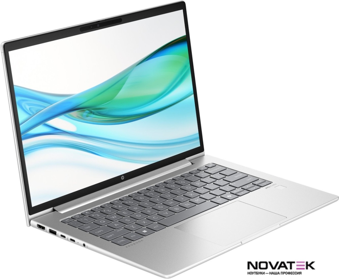 Ноутбук HP ProBook 445 G11 8Z9P6AV
