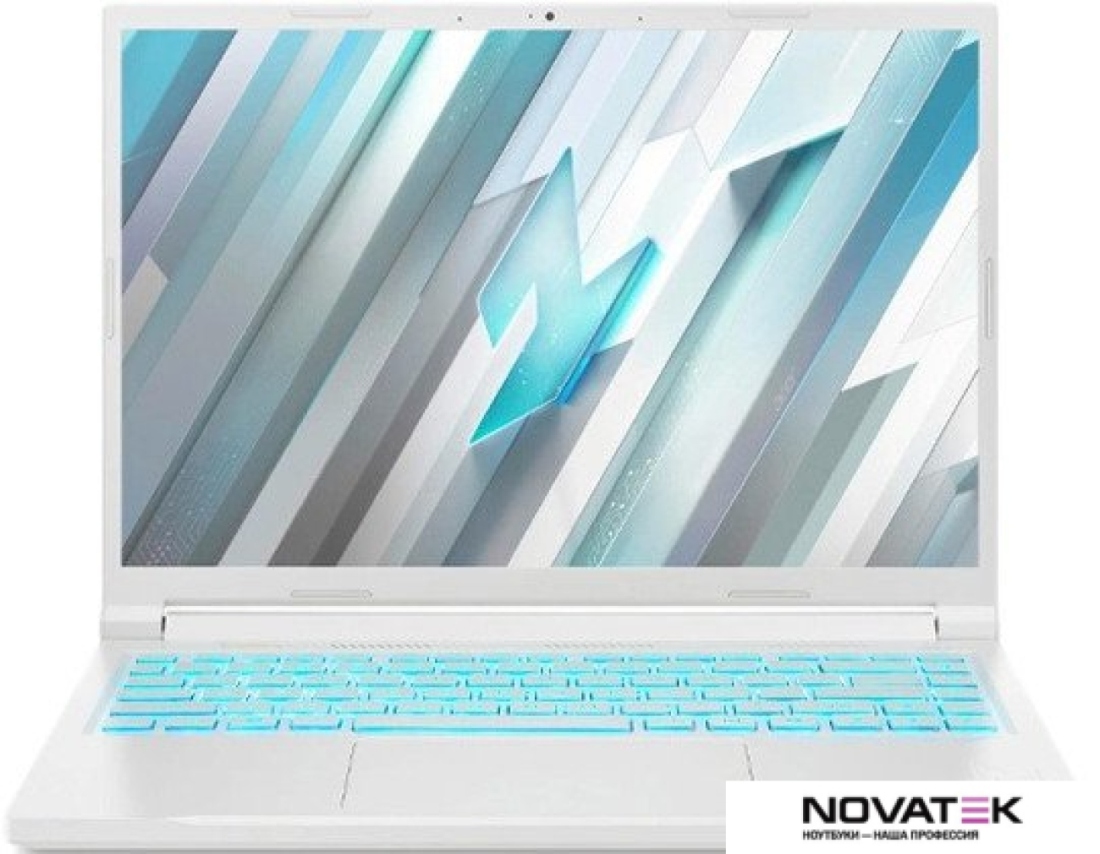 Игровой ноутбук Acer Nitro V 14 ANV14-61-R89B NH.QTYER.002