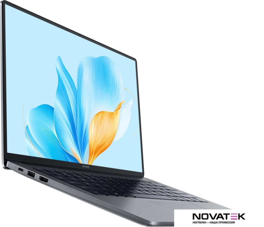 Ноутбук HONOR MagicBook X14 2025 FRG-X 5301AMKR