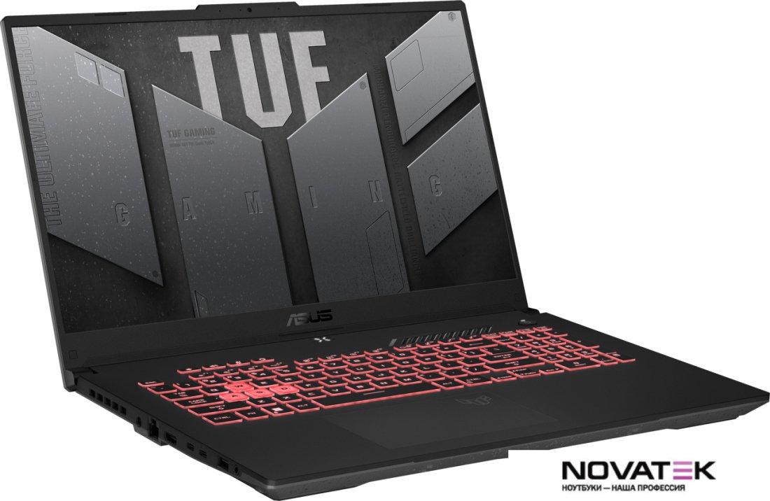 Игровой ноутбук ASUS TUF Gaming A17 FA707RM-HX031