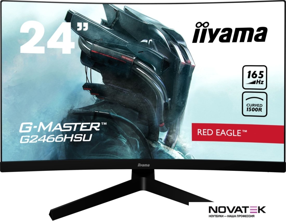 Монитор Iiyama G-Master G2466HSU-B1