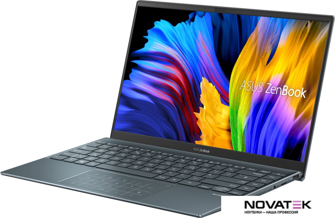 Ноутбук ASUS ZenBook 14 UM425QA-EH74