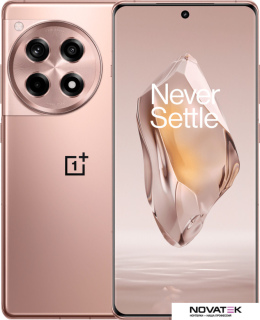 Смартфон OnePlus Ace 3 16GB/1TB китайская версия (бронзовый)