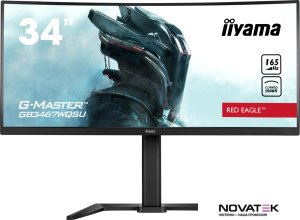 Игровой монитор Iiyama G-Master Red Eagle GB3467WQSU-B5