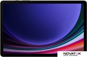 Планшет Samsung Galaxy Tab S9 5G SM-X716 12GB/256GB (графитовый)