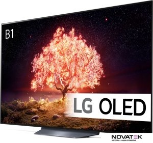 Телевизор LG OLED65B1RLA