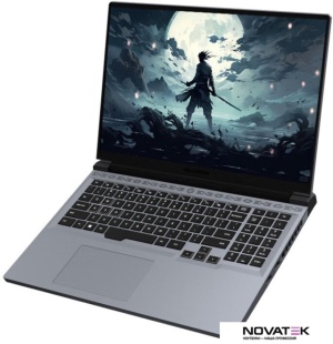 Игровой ноутбук Mechrevo Revolution Jiaolong 16 Pro 747Q0