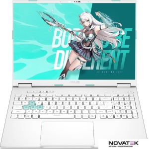 Игровой ноутбук ASUS TUF Gaming Tianxuan F16 FX608LP275-0ECFXHB8X10