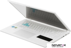 Игровой ноутбук Acer Nitro Lite NL16-71G-74YP NH.D26CD.002