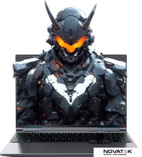 Игровой ноутбук Mechrevo Aurora X FGM-X6PR556W0014201