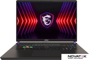 Игровой ноутбук MSI Vector 17 HX A14VIG-899RU