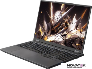 Игровой ноутбук Maibenben X-Treme Tsunami X16F X16F-R98957T1JGRHG4E10