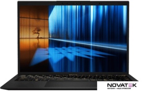 Ноутбук MSI Prestige 13 AI+ Ukiyo-e Edition A2VMG-096RU