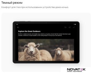 Планшет Huawei MatePad SE 10.4