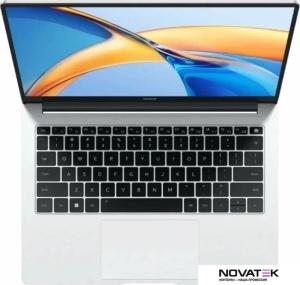 Ноутбук HONOR MagicBook X 14 2024 FRI-H56 5301AGPM