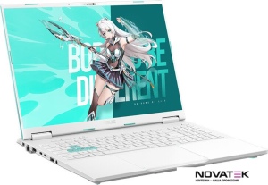 Игровой ноутбук ASUS TUF Gaming Tianxuan F16 FX608LP275-0ECFXHB8X10