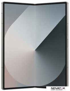 Смартфон Samsung Galaxy Z Fold6 SM-F956B/DS 12GB/512GB (серый)