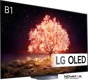 Телевизор LG OLED65B1RLA