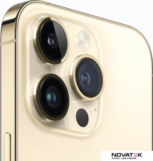 Смартфон Apple iPhone 14 Pro 256GB (золотистый)