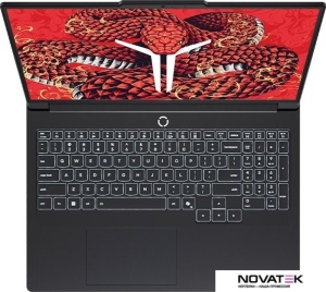 Игровой ноутбук Lenovo Legion R9000P ADR10 83LV0006CD 16 ГБ
