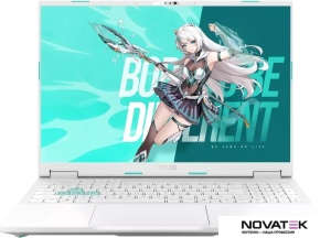 Игровой ноутбук ASUS TUF Gaming Tianxuan F16 FX608LP275-0ECFXHB8X10