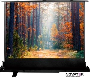 Проекционный экран CACTUS FloorExpert 68x120 CS-PSFLE-120X68
