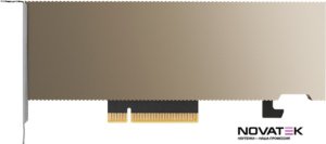 Видеокарта PNY NVIDIA A2 TCSA2M-PB