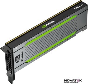 Видеокарта PNY NVIDIA Tesla T4 16GB GDDR6 TCST4M-PB