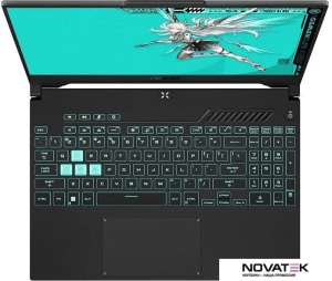 Игровой ноутбук ASUS TUF Gaming Tianxuan F16 FX608LM275-0EAEXHB8X10