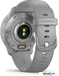 Умные часы Garmin Venu 2 Plus (серебристый/серый)