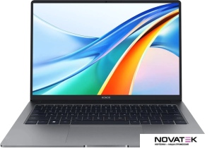 Ноутбук HONOR MagicBook X 14 Pro 2024 FRI-G56 5301AHQF