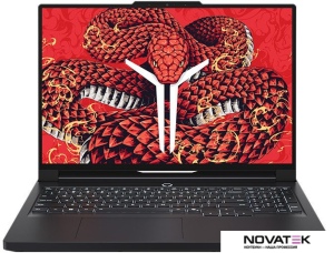 Игровой ноутбук Lenovo Legion R9000P ADR10 83LV0006CD 16 ГБ